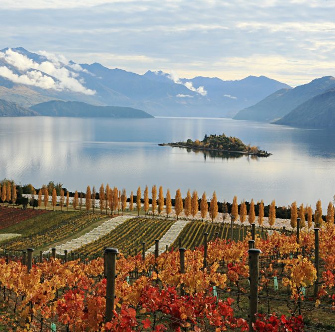 Autumn at Rippon (for WWT)
