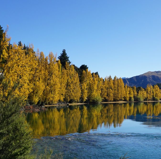 autumn-in-wanaka-cover