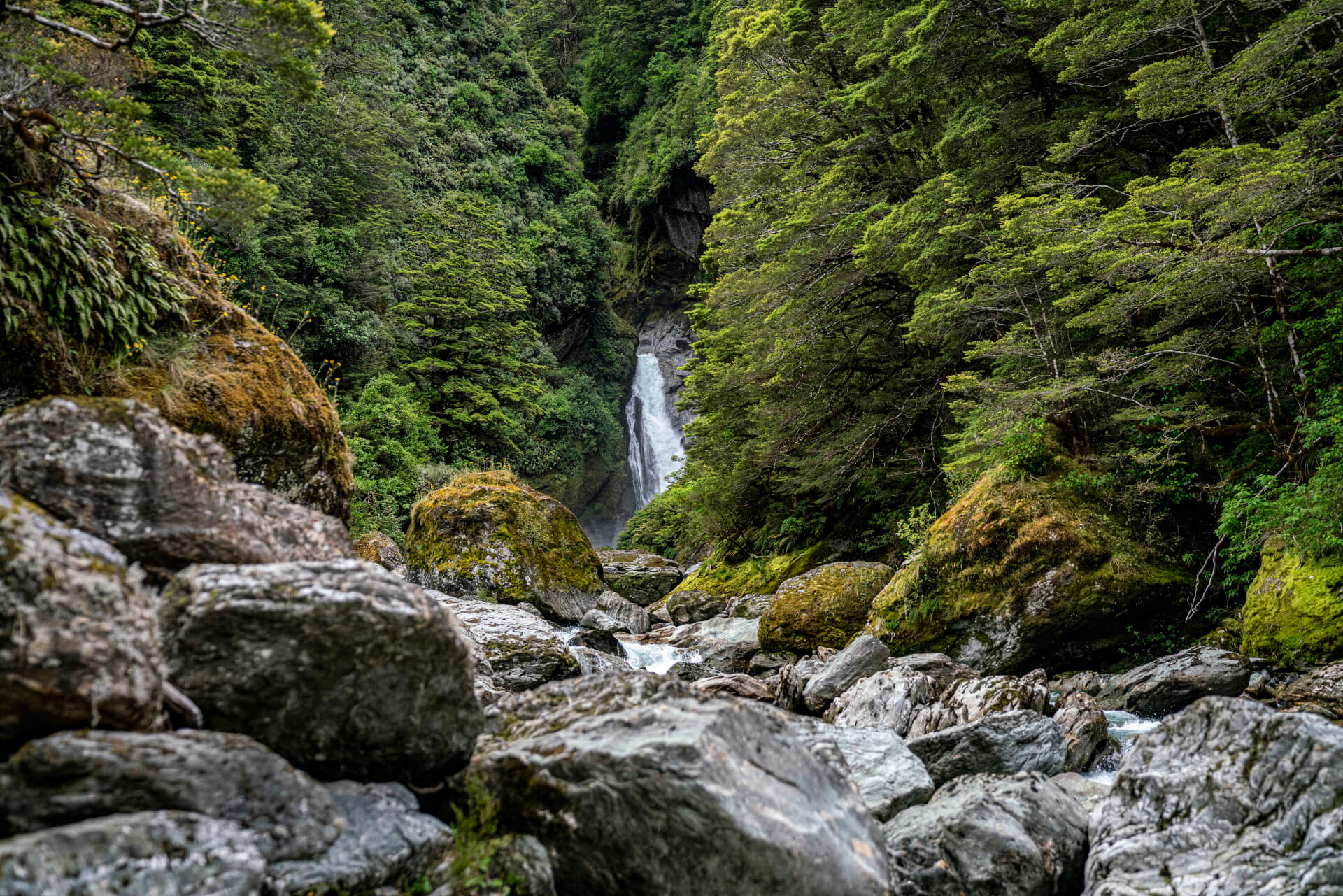 ElevenNZscenery-05917