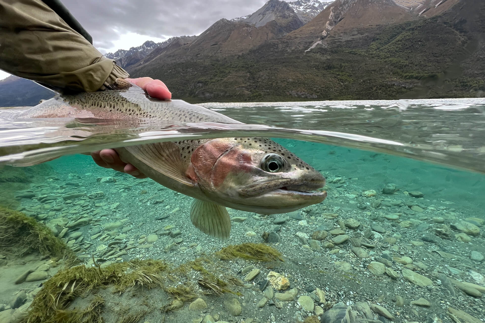 Eleven_Cedar_Lodge_9505 2BOK