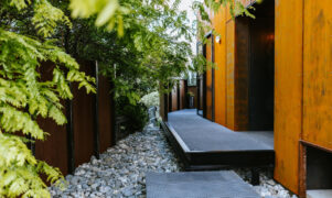 251209_Houliston_011