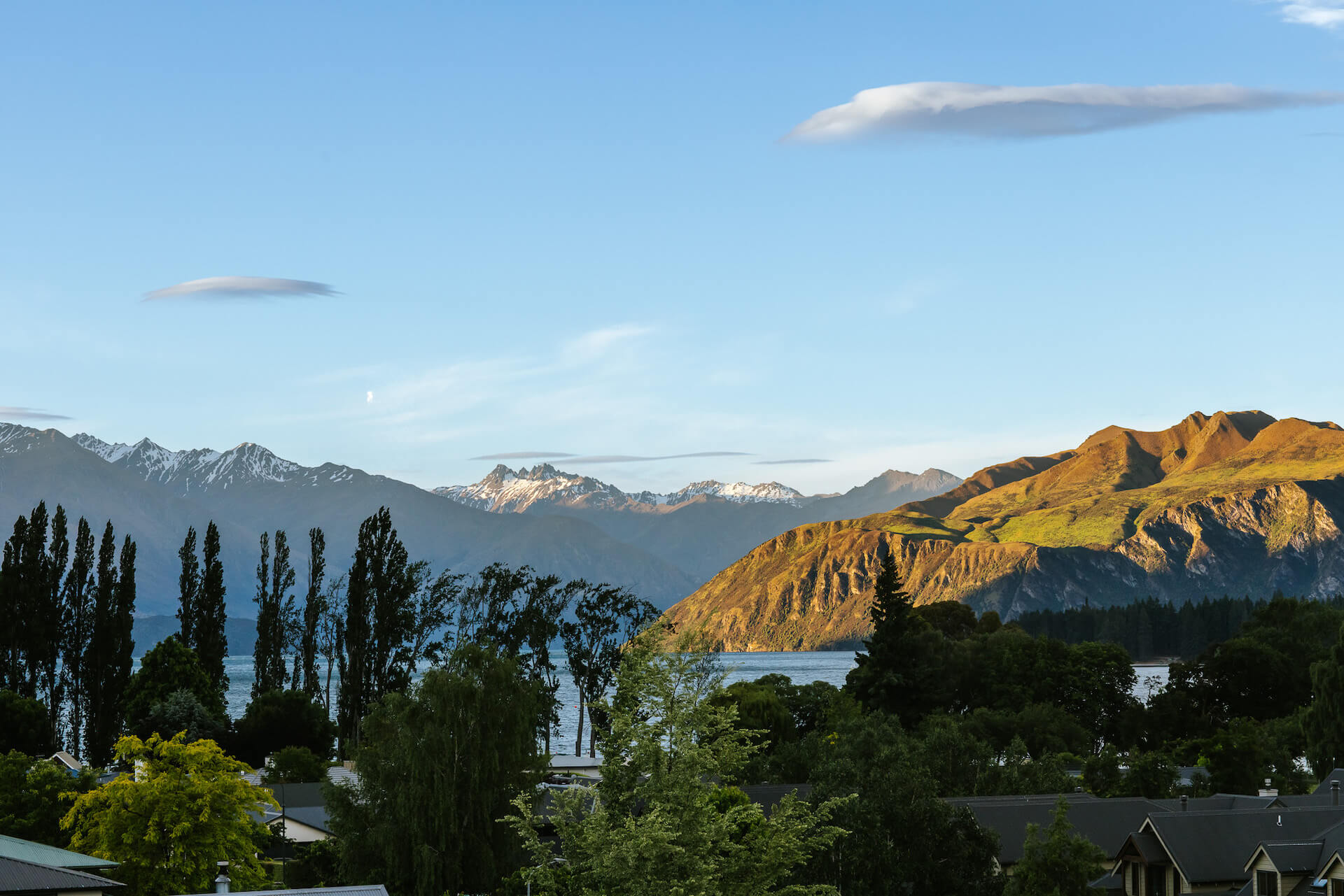 251209_Houliston_014